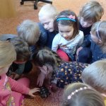 phoca_thumb_m_elva 7 Fotogalerie